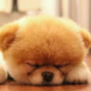 Meet your Posher, Esther